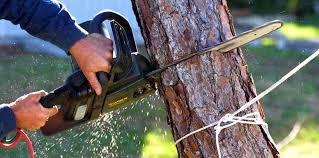 Weiser, ID Tree Services Company