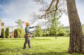 Seasonal Cleanup in Weiser, ID